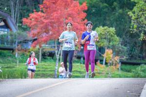 BIB: 108, 245
                            <button type="button" onclick="openModal(19241605)" class="btn btn-primary btn-sm float-right btn-popup" data-toggle="modal" data-target=".modal-high-quality">
                        <i class="fas fa-shopping-cart"></i> Add to Cart
                    </button>
                                            <button type="button" onclick="isThisMe(19241605, true)" class="btn btn-success btn-sm float-right btn-popup btn-isme hidden" data-toggle="tooltip" data-placement="bottom" title="นี่คือรูปของคุณใช่ไหม คลิกที่นี่เพื่อเอาเข้าอัลบั้ม">
                        <i class="fas fa-plus"></i> Add to album
                    </button>
                    <button type="button" onclick="isThisMe(19241605, false)" class="btn btn-warning btn-sm float-right btn-popup btn-isnotme hidden">
                        <i class="fas fa-ban"></i> Remove from album
                    </button>